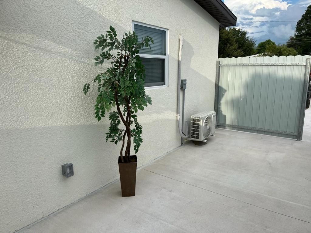 Incredible Comfortable Apartments Near The Airport And Beaches Tampa Esterno foto